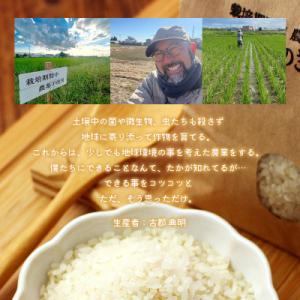 ふるさと納税 足利市 のりちゃん米 白米(にじ...の詳細画像3