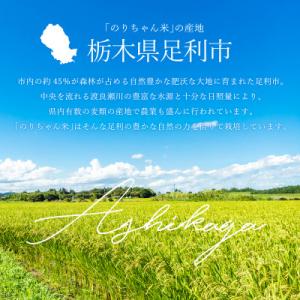 ふるさと納税 足利市 のりちゃん米 玄米(にじ...の詳細画像1