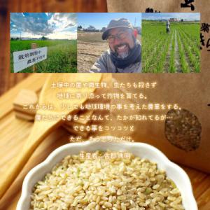 ふるさと納税 足利市 のりちゃん米 玄米(にじ...の詳細画像3