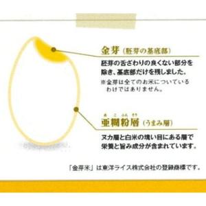 ふるさと納税 安来市 BG無洗米・金芽米にこま...の詳細画像2