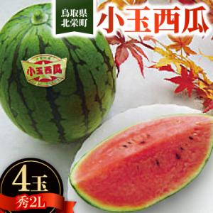 ふるさと納税 北栄町 【先行予約】【JA】小玉西瓜  秀2L×4玉　2026年9月初旬頃から9月下旬...