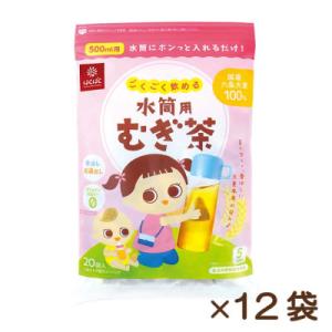 ふるさと納税 中央市 【はくばく】ごくごく飲める水筒用麦茶　20P×12袋
