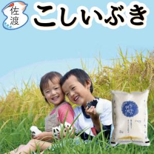 ふるさと納税 佐渡市 佐渡島産こしいぶき 白米2Kg 令和7年産【食の宝島佐渡】