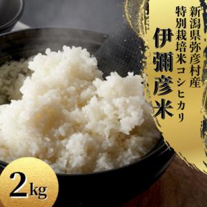 ふるさと納税 弥彦村 【お試し】令和7年産 特別栽培米コシヒカリ「伊彌彦米」精米 2kg 新潟県産弥彦村