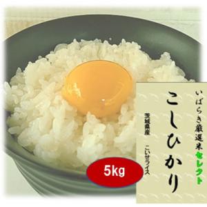 ふるさと納税 石岡市 筑波山麓産米を中心に厳選した【茨城県産こしひかり】白米5kg 令和7年産