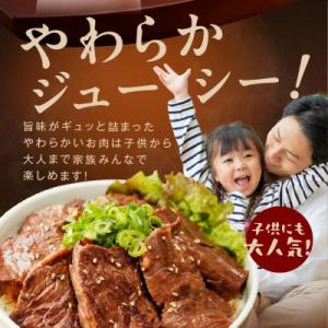 ふるさと納税 泉佐野市 アキラ商店の「人気者!...の詳細画像3