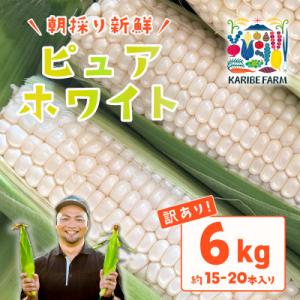 ふるさと納税 下妻市 【訳あり】下妻産朝採りとうもろこし(ピュアホワイト)約6kg 約15-20本入り 6月下旬頃より発送