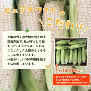 ふるさと納税 下妻市 【訳あり】下妻産朝採りと...の詳細画像2