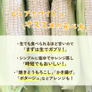 ふるさと納税 下妻市 【訳あり】下妻朝採りとう...の詳細画像3