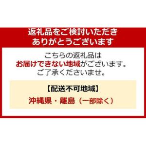 ふるさと納税 堺市 洗濯洗剤 NANOXone...の詳細画像1