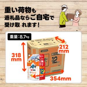 ふるさと納税 高崎市 ジョイ W除菌 食器用洗...の詳細画像2