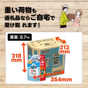 ふるさと納税 高崎市 ジョイ W除菌食器用洗剤...の詳細画像2