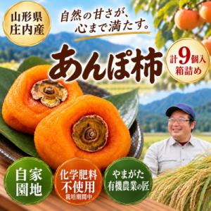 ふるさと納税 酒田市 【完全無添加】庄内あんぽ柿 9個入(3袋×3個)箱詰め　干し柿 山形県酒田市産 令和8年産