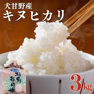 ふるさと納税 亀岡市 いぬかんの　キヌヒカリ　3kg