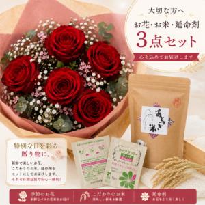 ふるさと納税 磐田市 1月発送!同級生コンビで...の詳細画像1