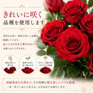 ふるさと納税 磐田市 1月発送!同級生コンビで...の詳細画像2
