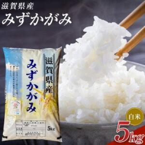 ふるさと納税 甲賀市 【令和8年産】近江米みずかがみ白米5kg