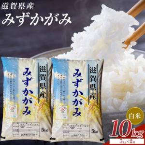 ふるさと納税 甲賀市 【令和8年産】近江米みずかがみ白米10kg(5kg×2袋)