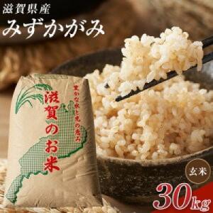 ふるさと納税 甲賀市 【令和7年産】近江米みずかがみ玄米30kg