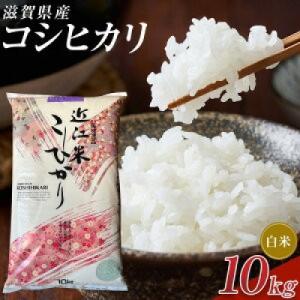 ふるさと納税 甲賀市 【令和8年産】近江米コシヒカリ白米10kg