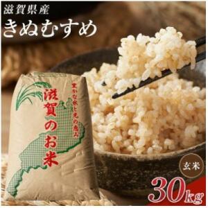 ふるさと納税 甲賀市 【令和7年産】近江米きぬむすめ玄米30kg