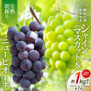 ふるさと納税 玉野市 2026年発送【完熟朝採り】訳あり シャインマスカット&ニューピオーネ 各1房