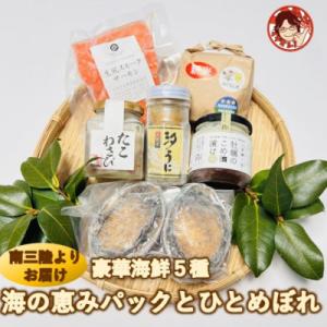 ふるさと納税 宮城県 三陸の希少な海鮮、あわび、かき、うにを存分に!海鮮5種・海の恵みパック&amp;ひとめ...