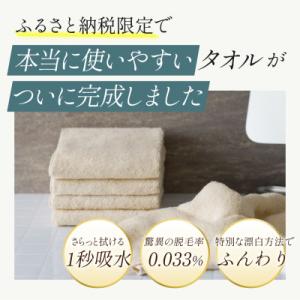 ふるさと納税 今治市 ふるさと納税限定 今治産...の詳細画像2