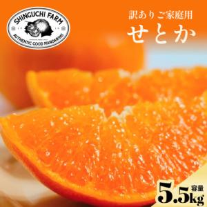 ふるさと納税 八幡浜市 【先行受付】訳ありだけど美味しさそのまま【訳あり】せとか 5.5kg【D70...