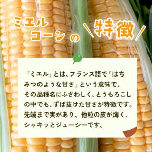 ふるさと納税 下妻市 下妻産朝採りとうもろこし...の詳細画像1