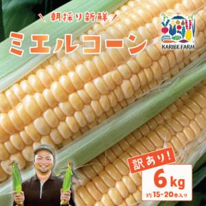 ふるさと納税 下妻市 【訳あり】下妻産朝採りとうもろこし(ミエルコーン)約6kg 約15-20本入り 6月下旬頃より発送