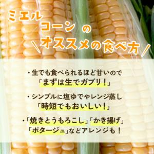 ふるさと納税 下妻市 【訳あり】下妻産朝採りと...の詳細画像3