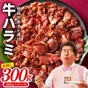 ふるさと納税 泉佐野市 【お試し】牛ハラミ 30...の商品画像