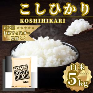 ふるさと納税 佐賀県 令和7年産こしひかり 白米 5kg　41ANAD035(佐賀県)