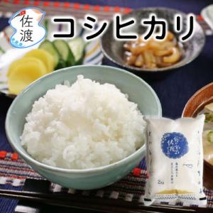 ふるさと納税 佐渡市 佐渡島産コシヒカリ 白米2kg 特別栽培米 令和7年産【食の宝島佐渡】