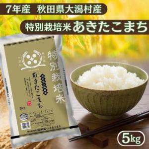 ふるさと納税 大潟村 あきたこまち5kg　秋田県産特別栽培米　大潟村のお米【令和7年産】精米