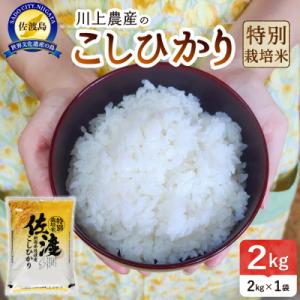 ふるさと納税 佐渡市 佐渡　川上農産のコシヒカリ(精米2kg)
