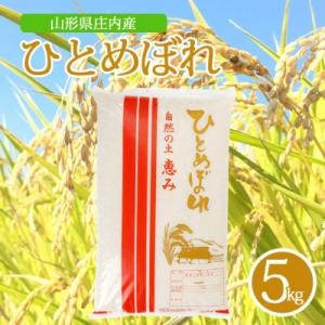ふるさと納税 酒田市 【令和7年産米】【山形県庄内産】ひとめぼれ5kg×1袋 精米