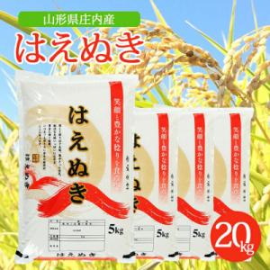 ふるさと納税 酒田市 【令和7年産米】【山形県庄内産】はえぬき20kg(5kg×4袋)精米