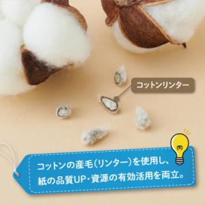 ふるさと納税 島田市 エリエール コットンフィ...の詳細画像2