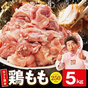 ふるさと納税 泉佐野市 【特別規格】国産 鶏もも...の商品画像