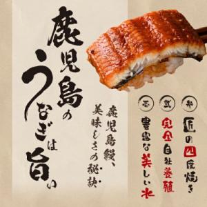 ふるさと納税 志布志市 鹿児島県産うなぎ蒲焼 ...の詳細画像2