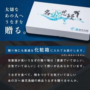 ふるさと納税 志布志市 鹿児島県産うなぎ蒲焼 ...の詳細画像3
