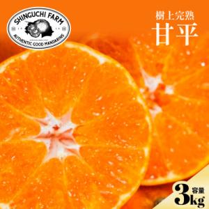 ふるさと納税 八幡浜市 【数量限定】今シーズン発送!【訳あり】甘平 3kg【C70-165】