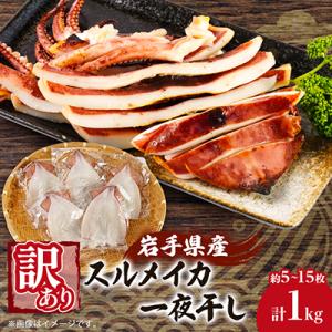 ふるさと納税 宮古市 【訳あり】岩手県宮古市産スルメイカの一夜干し　1kg