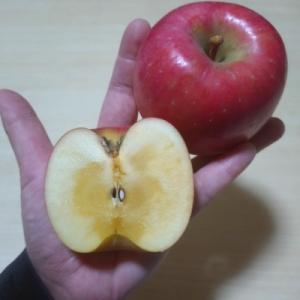 ふるさと納税 南陽市 完熟★蜜入り★ こうとく...の詳細画像3