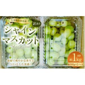 ふるさと納税 竹田市 【数量限定】粒パック訳ありシャインマスカット1kg(2パック)