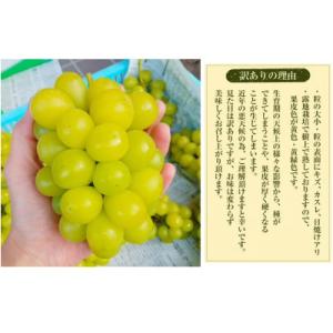 ふるさと納税 竹田市 【数量限定】粒パック訳あ...の詳細画像1