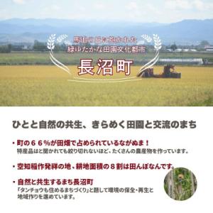 ふるさと納税 長沼町 【令和7年産・無洗米・真...の詳細画像3