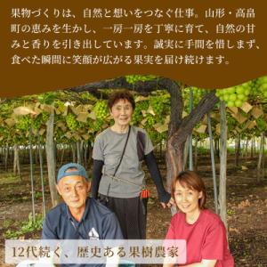 ふるさと納税 高畠町 【産地直送・家庭用】シャ...の詳細画像3